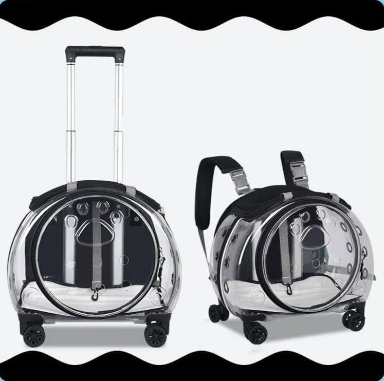 Transparent cat trolley case and backpack, multi-purpose pet carrier with wheels, futuristic design for stylish pet travel.