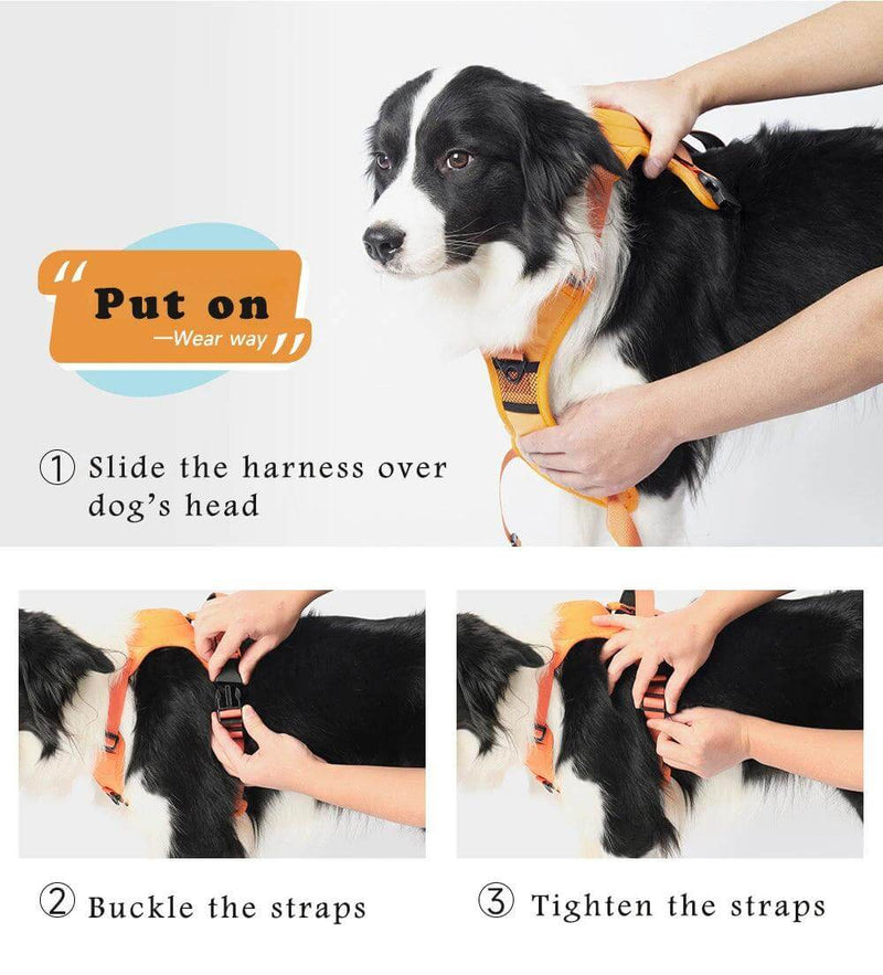 Anti-Burst Impact Harness instructions showing how to put on harness buckle the straps and tighten for a secure fit on a dog -Littlepawgive