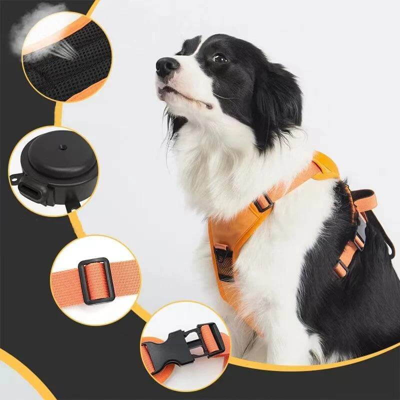 Dog wearing Anti-Burst Impact Harness and Retractable Leash Set All-in-One -Littlepawgive