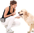 Load image into Gallery viewer, Woman using a dog training treat bag while training her golden retriever to shake hands.
