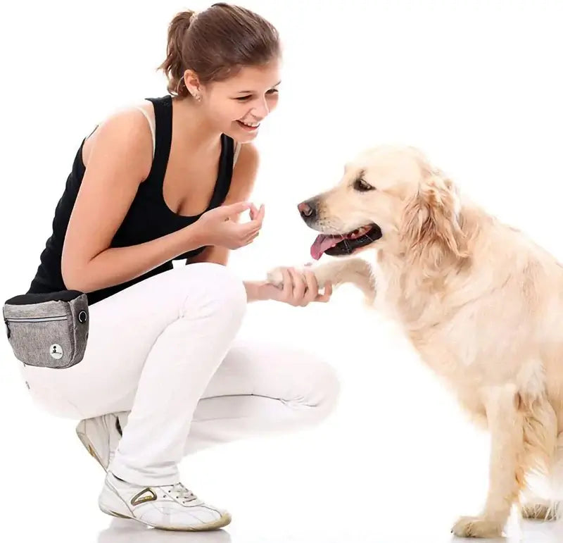 Woman using a dog training treat bag while training her golden retriever to shake hands.