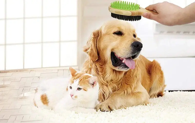 Golden retriever enjoying grooming with bamboo double-sided brush next to a relaxed cat on a soft rug.