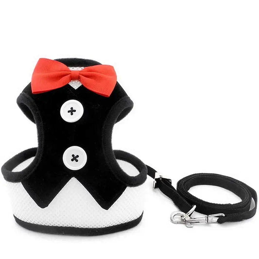 Chic no pull dog harness and leash set with red bowtie, perfect for stylish pet walks.