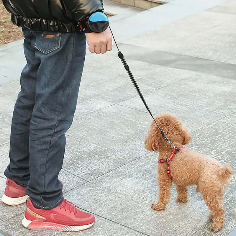 Hands-Free Retractable Dog Leash