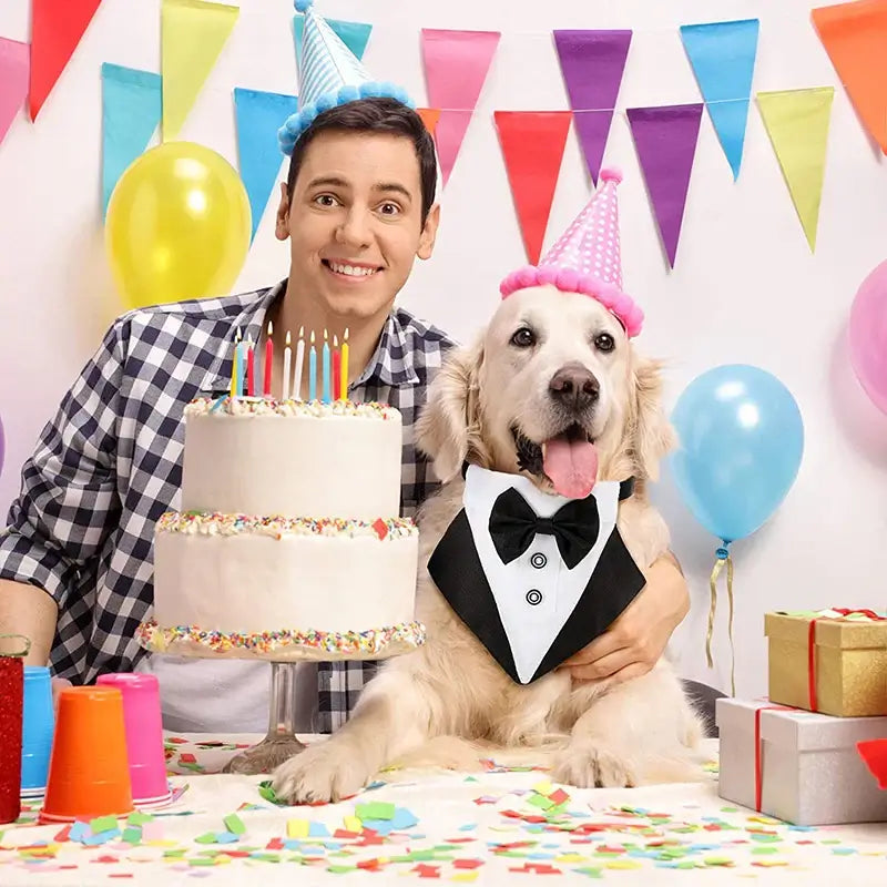 Happy man and golden retriever in tuxedo collar celebrating at a colorful birthday party with cake, balloons, and gifts.