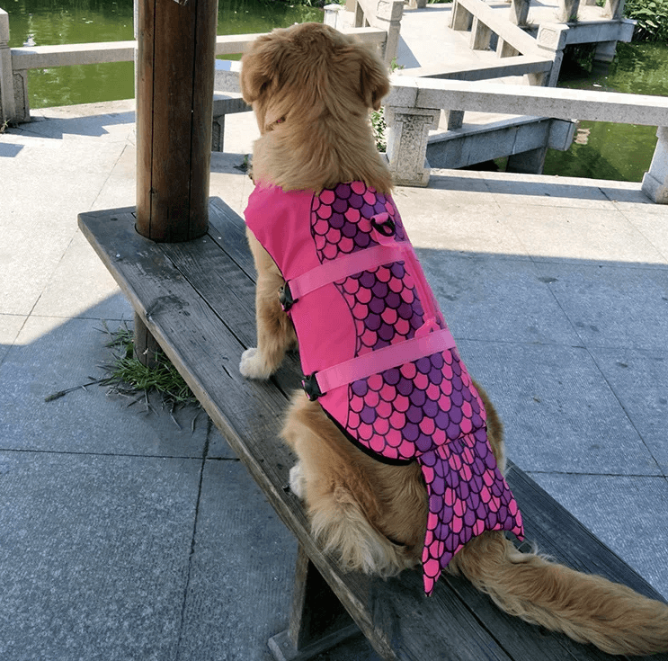 Dog pink mermaid-themed Pet Life Jacket Swimwear-Littlepawgive