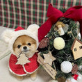 Load image into Gallery viewer, Charming Christmas Pet Cloak with Ears - Cozy & Stylish
