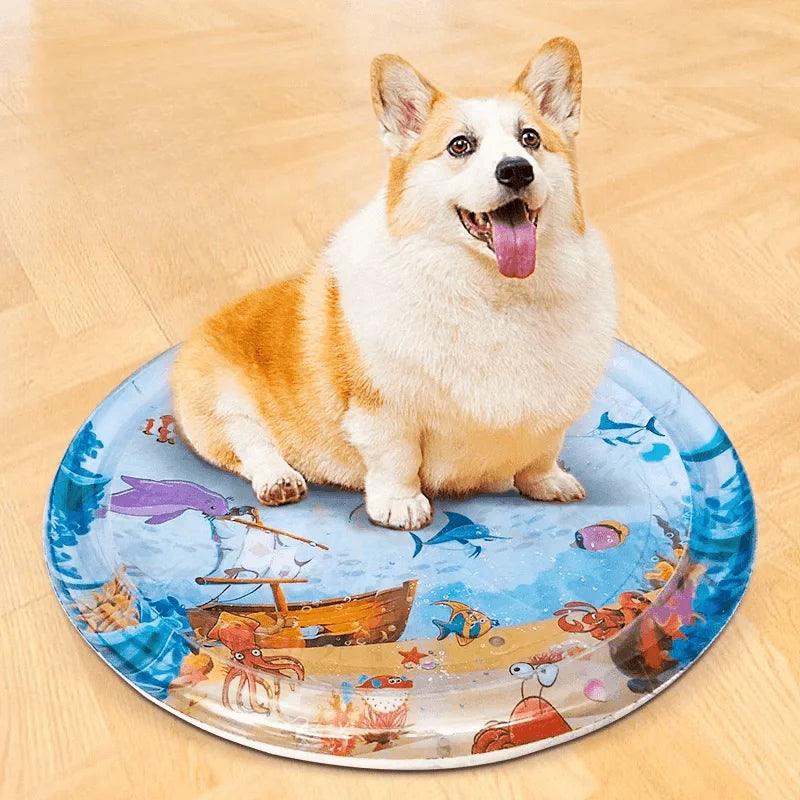 Corgi sitting on LittlePawGive Summer Cooling Pet Water Bed Ice Pad Sleeping Mat