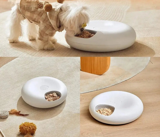 adorable small dog using a WiFi smart pet feeder for portion control in a stylish home setting