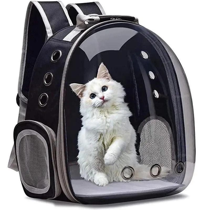 Fluffy white cat in a transparent capsule bubble pet carrier backpack from Littlepawgive perfect for stylish pet travel