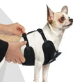 Load image into Gallery viewer, person adjusting an Irresistible No Pull Tuxedo Dog Harness on a small dog, showcasing style and comfort.
