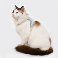 Load image into Gallery viewer, Stylish white cat wearing an anti-lost leather harness, showcasing comfort and safety for outdoor exploration.
