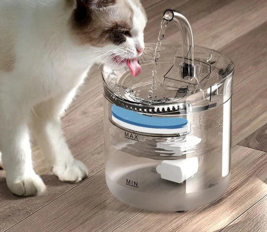 Cat drinking from the Water Dispenser Pet Smart Drinker- Sensor Fountain by littlepawgive