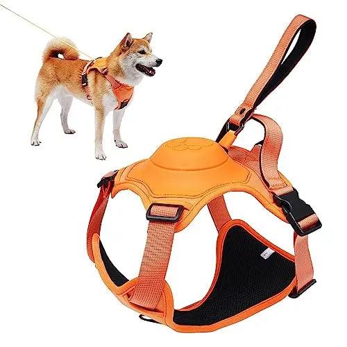 Anti-Burst Impact Harness and Retractable Leash- Set All-in-One for Comfortable and Tangle-Free Dog Walks -Littlepawgive