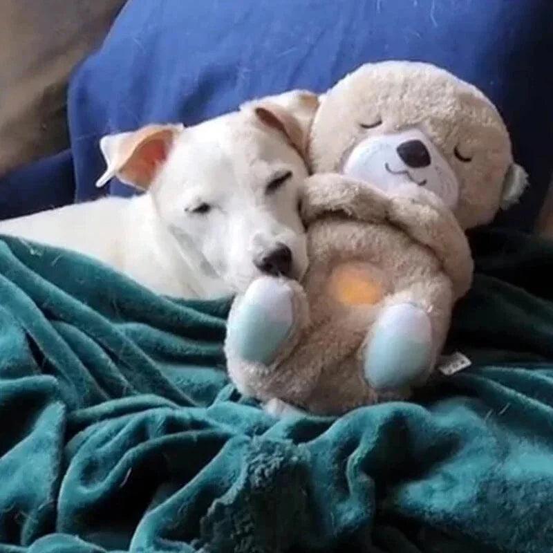 Puppy sleeping peacefully with Sleepipets Anxiety Relief Comfort Plush Toy providing relaxation and security -littlepawgive