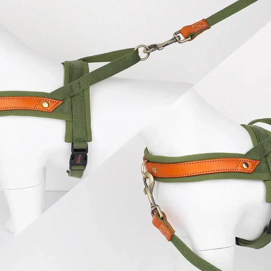 No-Pull Dog Harness & Leash Set