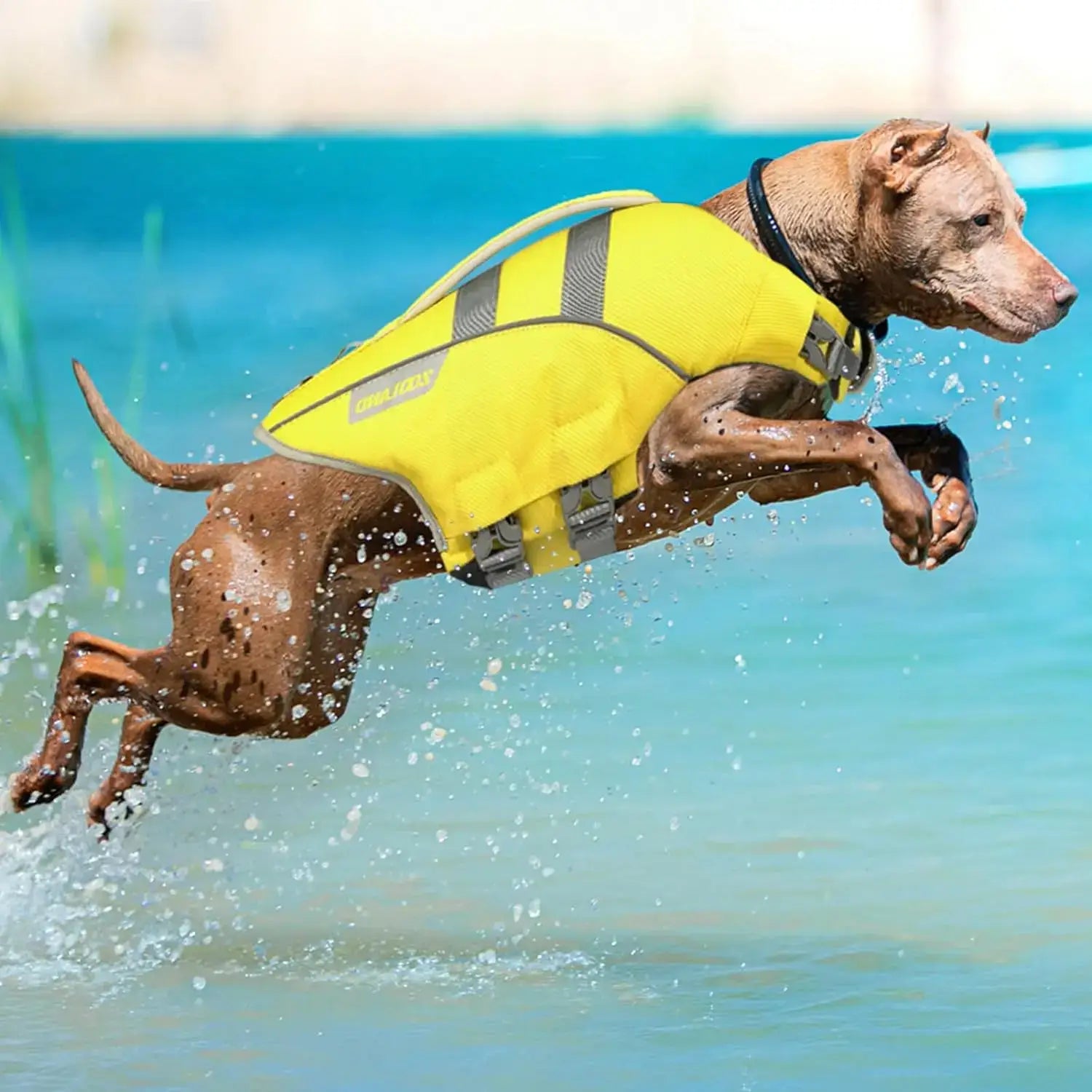 Reflective Adjustable Dog Life Jacket for Small Dogs