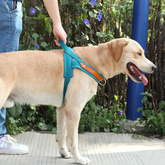 No-Pull Dog Harness & Leash Set