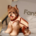 Load image into Gallery viewer, Small dog wearing a Portable Pet Lifter Harness, sitting comfortably on a chair, showcasing enhanced mobility support.
