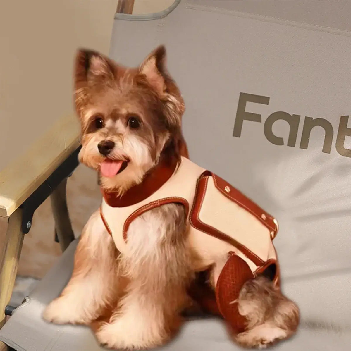 Small dog wearing a Portable Pet Lifter Harness, sitting comfortably on a chair, showcasing enhanced mobility support.