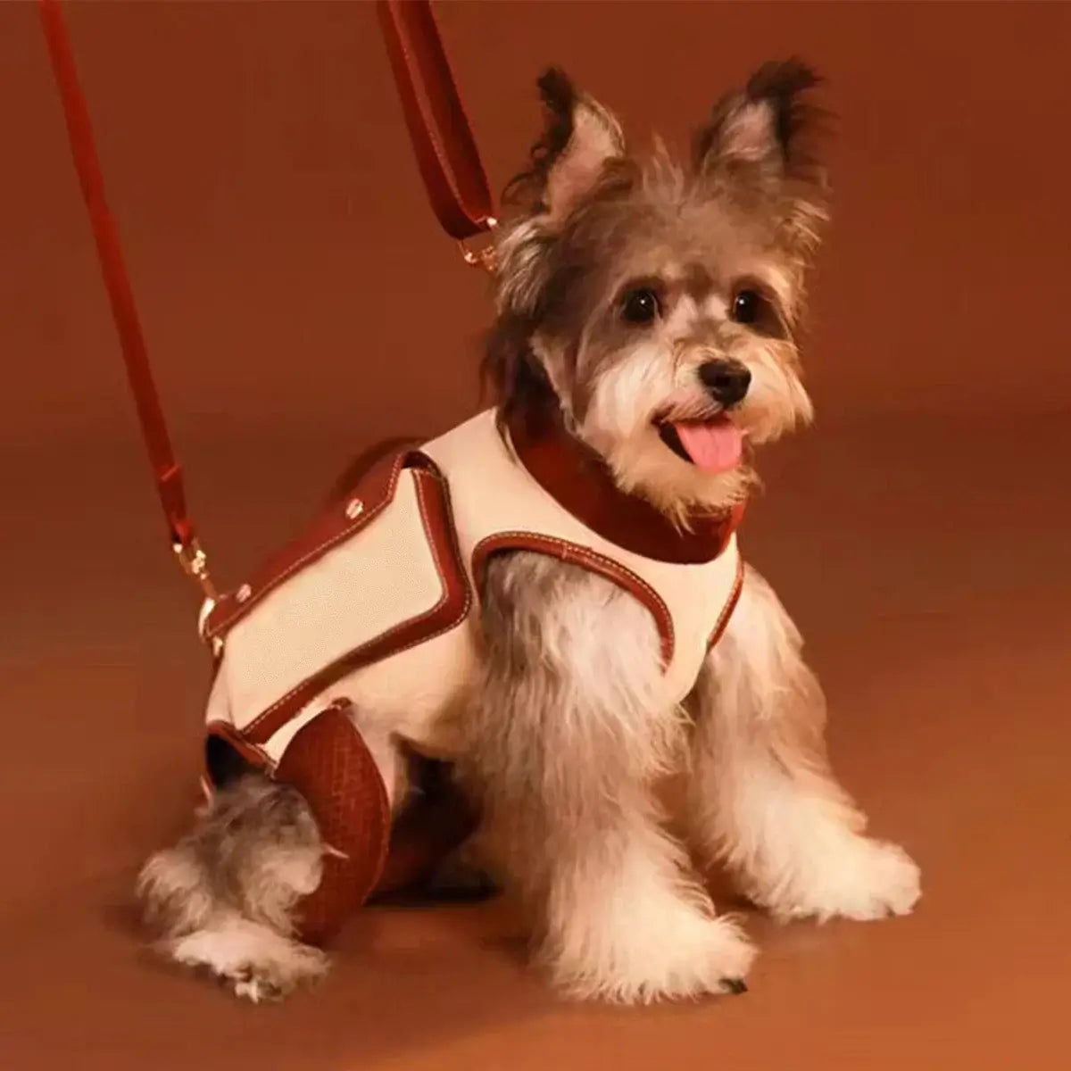 Dog wearing a Portable Pet Lifter Harness, showcasing improved mobility and support for pets in need.