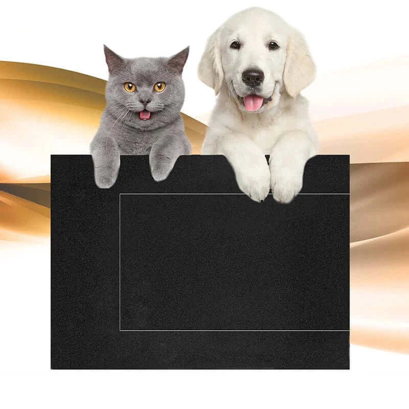 Playful cat and dog on a black dog nail scratch board for stress-free grooming and nail care.