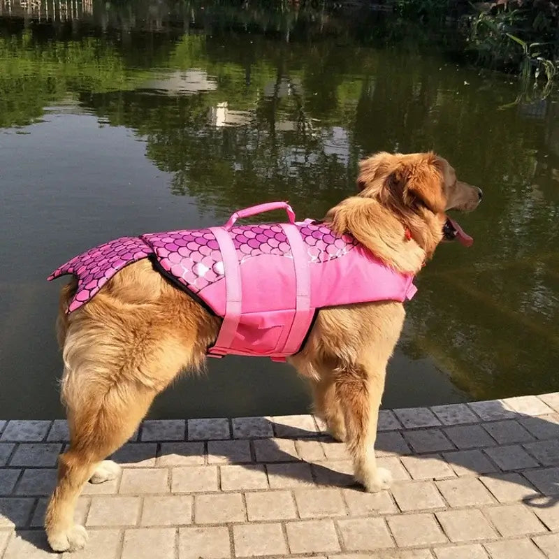 Dog wearing pink mermaid design Pet Life Jacket Swimwear -Littlepawgive