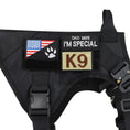 Load image into Gallery viewer, K9 Tactical Patch Bundle on dog vest with personalized patches including American flag and I'm Special with Littlepawgive branding
