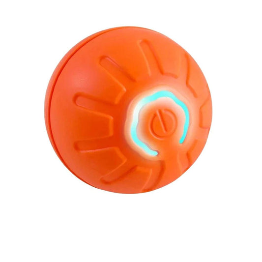 AutoPlay Interactive Dog Ball with advanced motion technology – LittlePawGive