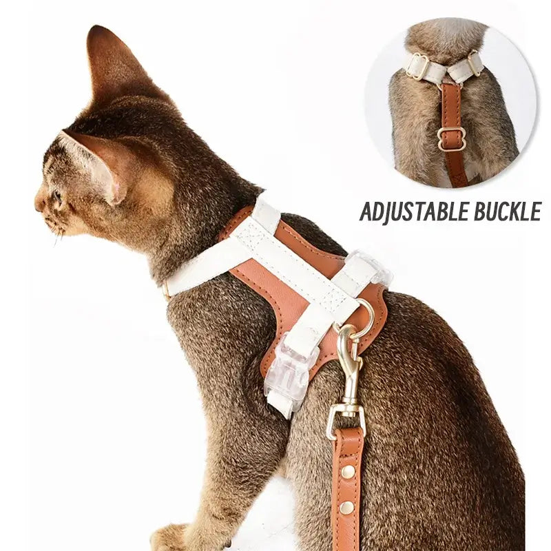 Cat wearing a stylish anti-lost leather harness with adjustable buckle, showcasing comfort and security for outdoor adventures.