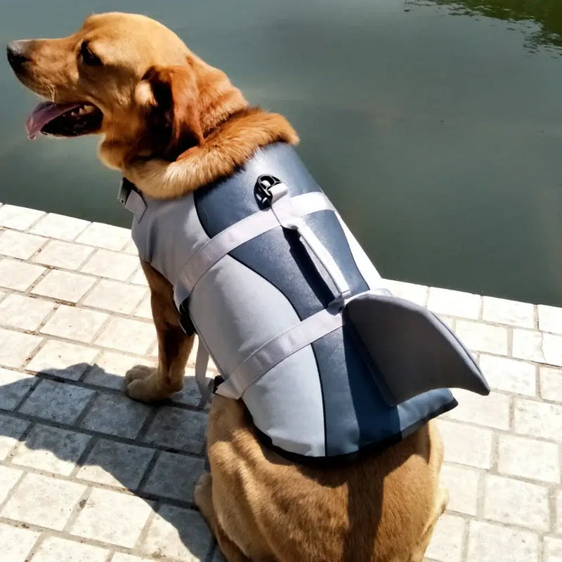 Golden retriever wearing a shark design Pet Life Jacket Swimwear vest for summer water adventures -Littlepawgive