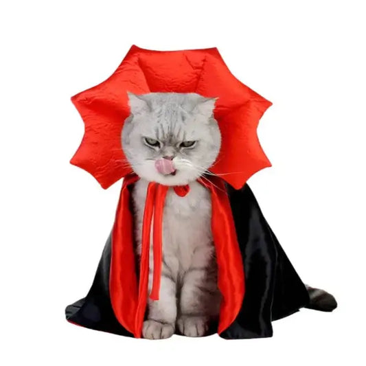 Cat wearing a black and red vampire cloak pet costume for Halloween cosplay.