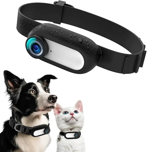 Pet Tracker Collar with Camera on black collar -Littlepawgive