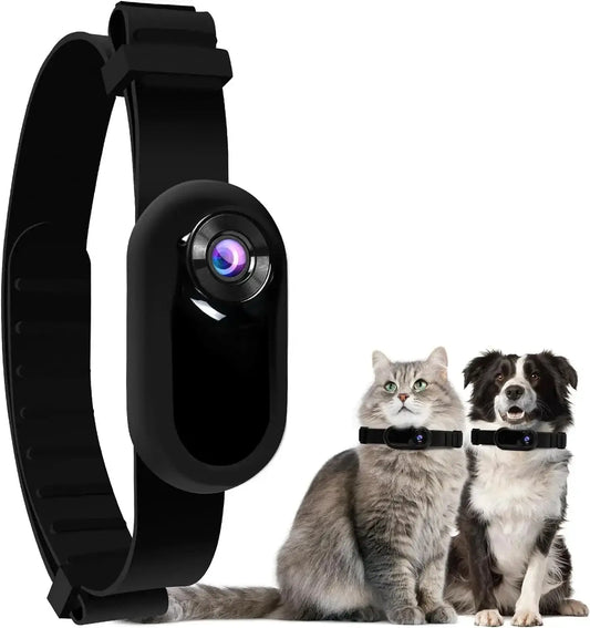 Pet Tracker Collar with built-in camera for cats and dogs ideal for recording outdoor adventures without WiFi -Littlepawgive