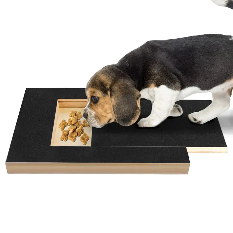 Beagle puppy using the Revolutionary Dog Nail Scratch Board with treats, promoting stress-free nail grooming.