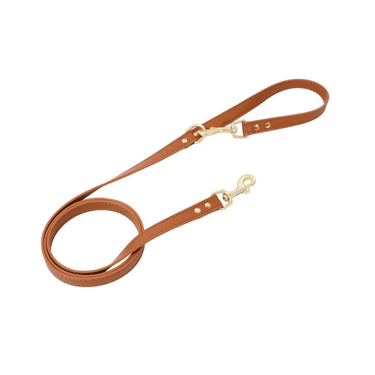 Anti-Lost cat leather leash set with gold hardware and adjustable length for secure outdoor adventures.