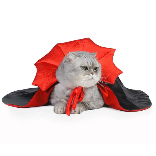 Cat wearing a black and red vampire cloak pet costume for Halloween cosplay.