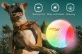 Load image into Gallery viewer, Unleash Joy- Durable Interactive Dog Toy Ball
