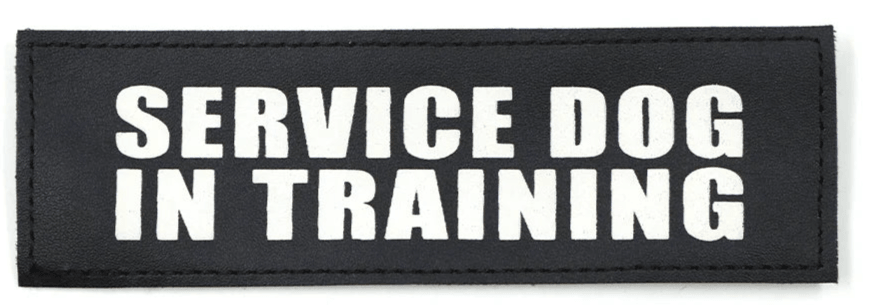 K9 Tactical Service Dog In Training patch for vests harnesses and collars - Littlepawgive