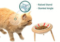 Load image into Gallery viewer, Elevated ceramic pet bowl with a raised stand and slanted angle designed for comfortable feeding for cats.
