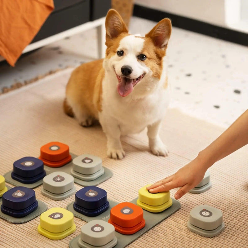 Dog using LittlePawGive Smart Dog Buttons Communication set for vocal training