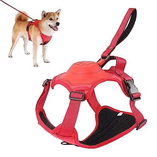 Anti-Burst Impact Harness and Retractable Leash Set on a dog showcasing durability fashion and the comfort of the all-in-one -Littlepawgive