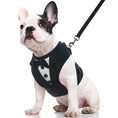 Load image into Gallery viewer, French Bulldog in a stylish tuxedo harness, showcasing elegance and functionality for fashionable walks.
