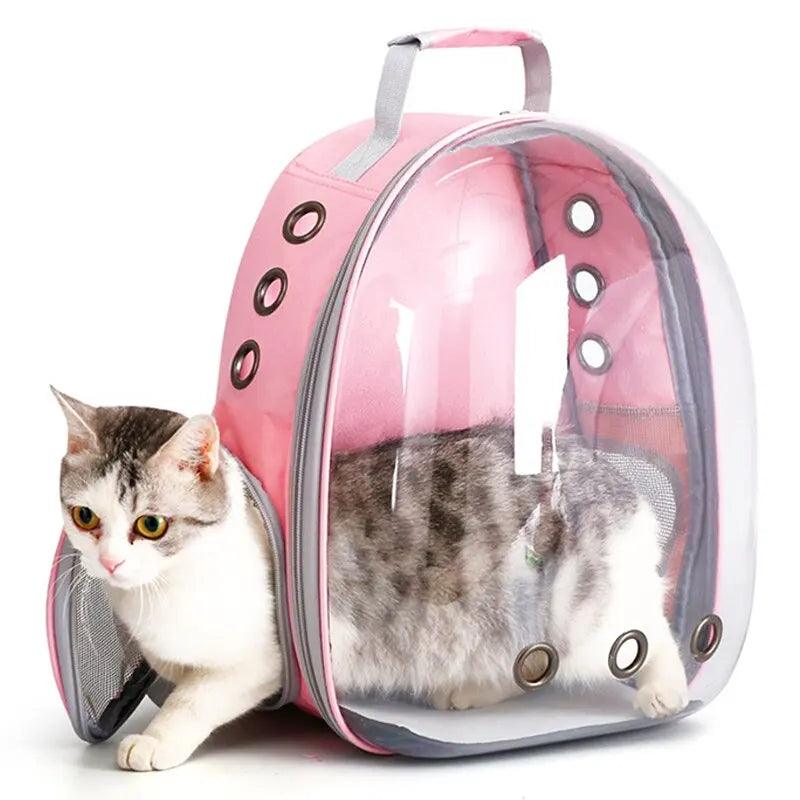 Cat inside Capsule Bubble Transparent pet carrier backpack in pink for travel -littlepawgive