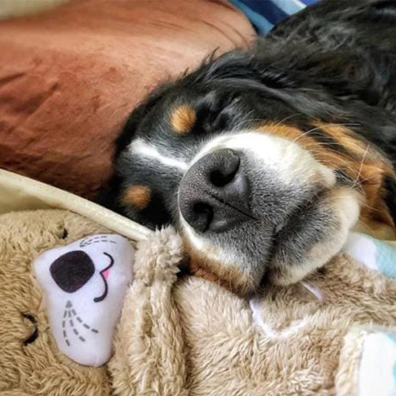 Puppy peacefully sleeping with Sleepipets Anxiety Relief Comfort Plush Toy next to a human-littlepawgive