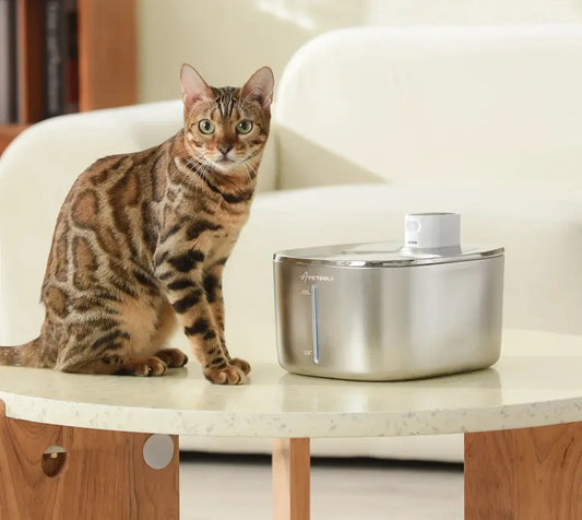 4L Wireless Pet Water Fountain