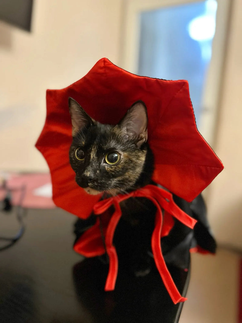 Vampire Cloak Pet Costume - Cosplay Cape